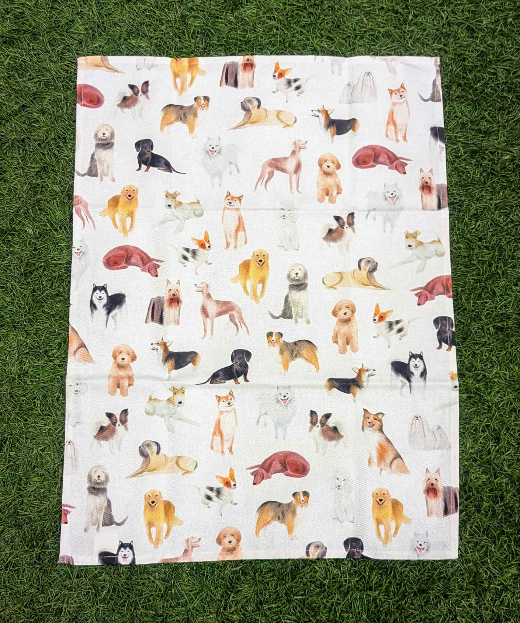 Linge à vaisselle 100% coton - Les Chiens